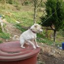 동우농장 이미지