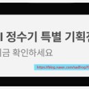 팬비즈여행사