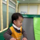 팡팡포레키즈카페 이미지
