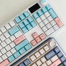 블루라떼(A) | 내돈내산 키보드 다얼유 A104 MASTER 8K 라떼축 아이스블루