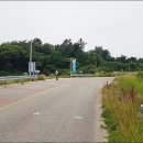내동~사내호 Daum카페