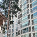 중부대로7 이미지