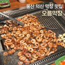 [울산 덕신 막창 추천] 울산 막창 맛집 '오름막창' 후기 | 껍데기 서비스 주는 곳, 울산 막창 맛집 추천
