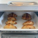 스테이 오힐 이미지