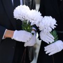 세지5일장 이미지