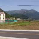 녹색산업