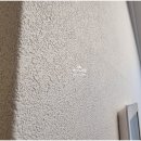 개나리온천 | 부산동래구도배 온천삼정그린코아 더 베스트 30평대 개나리로하스신상 클레이회벽 화이트 87476-2