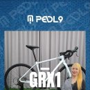 페들나인 GRX1 RS24단 올인원스타일 로드자전거 드롭바버전 이미지