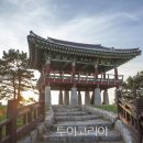 서천 마량리 동백나무 숲 이미지