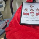 호텔세일즈로제 | 25년 7월~12월 하반기 일상 정리 (중국 여행, 스크립틱 게임, 넷플릭스, 먹은 것들, 워크샵, 듀오링고...