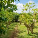 커피나야 이미지