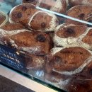 세븐일레븐대구삼덕중앙점 | 대구 삼덕동 카페 추천 | 초코바게트 맛집 인더매스 삼덕 후기
