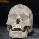 생명의 그물 2 | ② 데미안 허스트 전시 관람 후기 2｜상어·소·약·해골까지 시그니처 작품 총정리