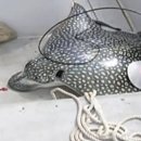 아싸가오리 이미지