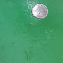 새롬목욕탕 이미지