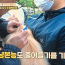 씻고올개 이미지