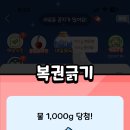 기타등등 이미지