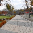 사선대마트