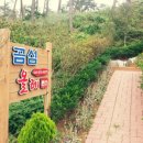 곰섬올레 이미지