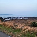 태신해안로 이미지