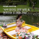 연못들2 | 발리 우붓투어 카만달루 연못 애프터눈티 인생 사진 꿀팁 후기