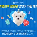 우리집강아지 이미지