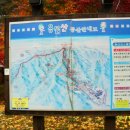 용인사 이미지