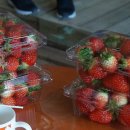 정현농장 이미지