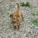 화랑골민박 이미지