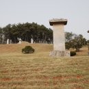 윤강 선생 묘 및 신도비 이미지