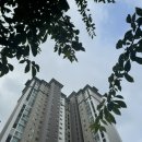 야호푸르지오어린이집 | 임신 33주 이사 왔어요~ (+엄마란 존재)