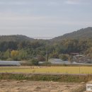 송학리마애여래좌상 이미지