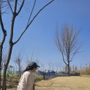 평거동 강변둔치 파크골프장 | 과수원의 화려한 변신, 나주 영산포수목원 파크골프장 27홀의 묘미(예약방법 등)