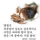 밥도둑 - 184763 | 밥도둑