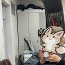 뽑튜브 | 명령하지마라 천천히 탈출한다