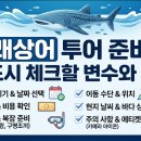 고래상어 투어 준비 전 반드시 체크할 변수와 정보