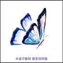 디자인나비 이미지