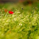 주안사랑공인중개사사무소 이미지