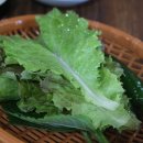 수경목장 이미지