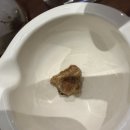 티클래스(나를 위한 차~) | 성수놀거리 성수데이트 성수공방 리브르 티 하우스 티클래스 성수점 후기