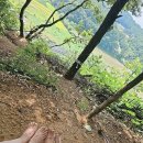 부르릉주유소 - 당진시 남부로 811 | 부르릉주유소