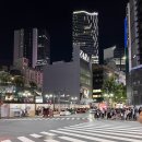 여행 일본어(특별) 이미지