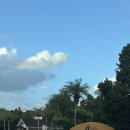 르네상스 | [오키나와 숙소] &#39;코코가든 리조트 오키나와&#39;, &#39;르네상스 리조트 오키나와&#39; 조식&amp;중식 후기