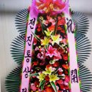 전진통상