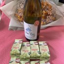 하우지 | 본1 2학기 11~12주차 후기: 땡시와 몰아치는 실험보고서