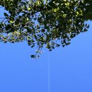 부대앞.한강요양병원 앞(버스 정류장) | 도마치계곡 계곡트레킹과 물놀이포인트