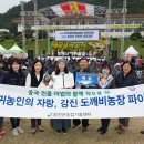 강진도깨비농장 이미지