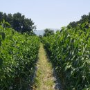 군민의 집 이미지