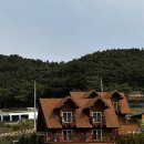 숲속애애플트리 이미지