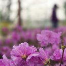 사진교실 이미지